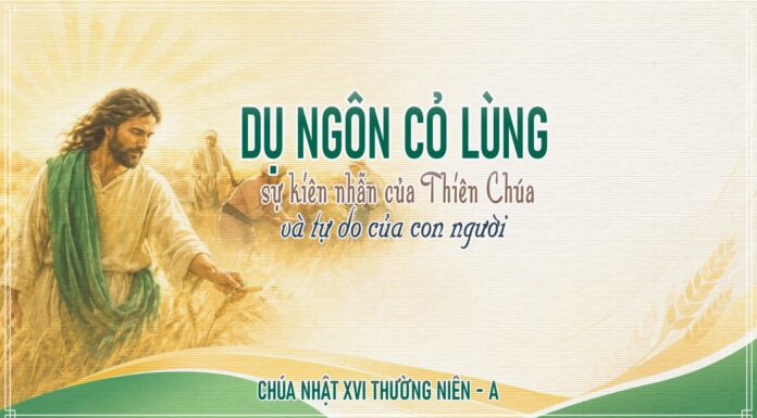 Chúa nhật XVI thường niên, năm A: Các bài suy niệm & chú giải Lời Chúa