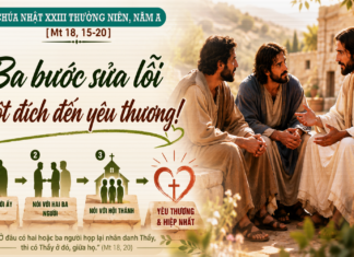 Chúa nhật XXIII thường niên, năm A: Các bài suy niệm & chú giải Lời Chúa