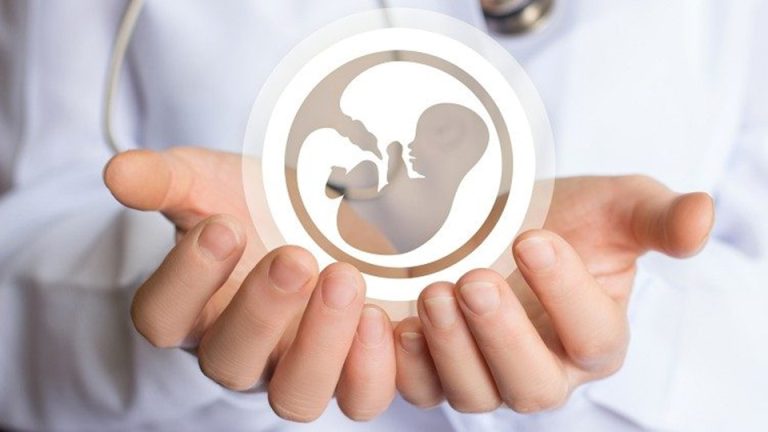 Người Công giáo Việt Nam đã bảo vệ cuộc sống của trẻ em chưa sinh như thế nào